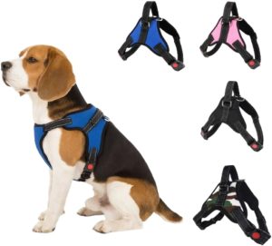 Coleira Peitoral com Regulagem e Dupla Trava de Segurança para Cães e Gatos – Ideal para Cachorros Pequenos e Médios, Conforto, Ajuste Preciso e Passeios Mais Seguros (Preto)