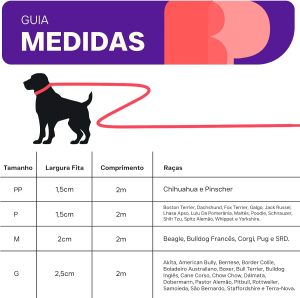 Basic Pet Coleira Guia 2 Metros Para Cães Cachorro Adestramento Passeio Porte Grande (Lake, G)