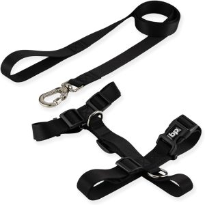 Basic Pet Coleira Peitoral Com Guia Para Cachorro Cães Modelo Tradicional H Tamanho Porte Grande Médio Pequeno (G, Preto)