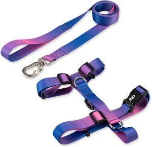 Basic Pet Coleira Peitoral Com Guia Para Cachorro Cães Modelo Tradicional H Tamanho Porte Grande Médio Pequeno (P, Lily)