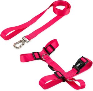 Basic Pet Coleira Peitoral Com Guia Para Cachorro Cães Modelo Tradicional H Tamanho Porte Grande Médio Pequeno (P, Rosa)