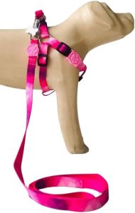 Conjunto Peitoral Coleira com Guia para Cachorros com Pingente para Identificação PP, Tamanho Ajustável, Confortável e Resistente