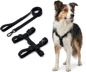 Coleira Peitoral H Ajustável para Cachorro com Guia 1,50m, Porte Pequeno e Médio: Passeios Confortáveis e Seguros, Controle Suave Tamanho M