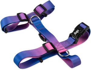 Basic Pet Coleira Peitoral Para Cachorro Cães Modelo H Tradicional Tamanho Porte Grande Médio Pequeno (Lily, M)