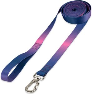 Basic Pet Coleira Guia 10 Metros Para Cães Cachorro Adestramento Passeio Porte Grande Médio Pequeno (Lily, G)