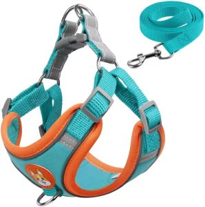 Colete Peitoral para Cachorro com Guia, Refletivo, Tecido Suede Camurça, Acabamento Premium, Conforto e Estilo (AZUL PISCINA, GG)