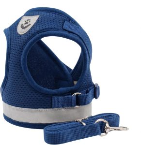 Coleira Peitoral para Cachorro e Gato com Guia e Faixa Reflexiva Ajustavel Reforçada para Passeio Noturno Seguro Caes de Porte Pequeno Em Quatro Tamanhos (AZUL, P)