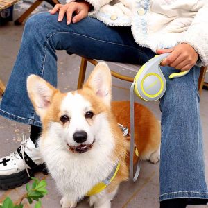 Guia Retrátil Coleira 3/5 Metros com Fluorescente e Trava De Segurança Para Regulagem Pet Cachorro Cães Gatos Passeio Linha (Amarelo, 5 metros)